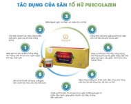 tac-dung-cua-sam-to-nu-collagen-1.jpg