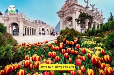 le-hoi-hoa-tulip-ba-na-4.jpg