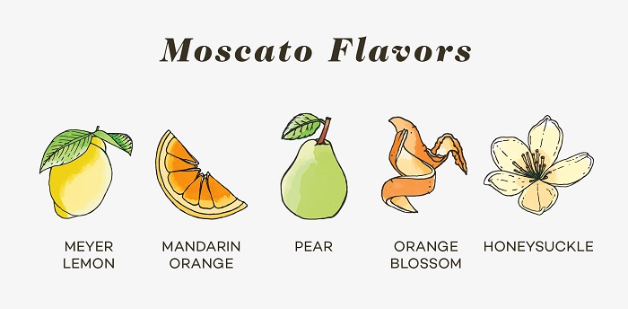moscato-wine-flavors-winefolly_2.jpg