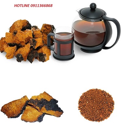 Health-Benefits-of-Chaga-Mushroom-Tea-1.jpg