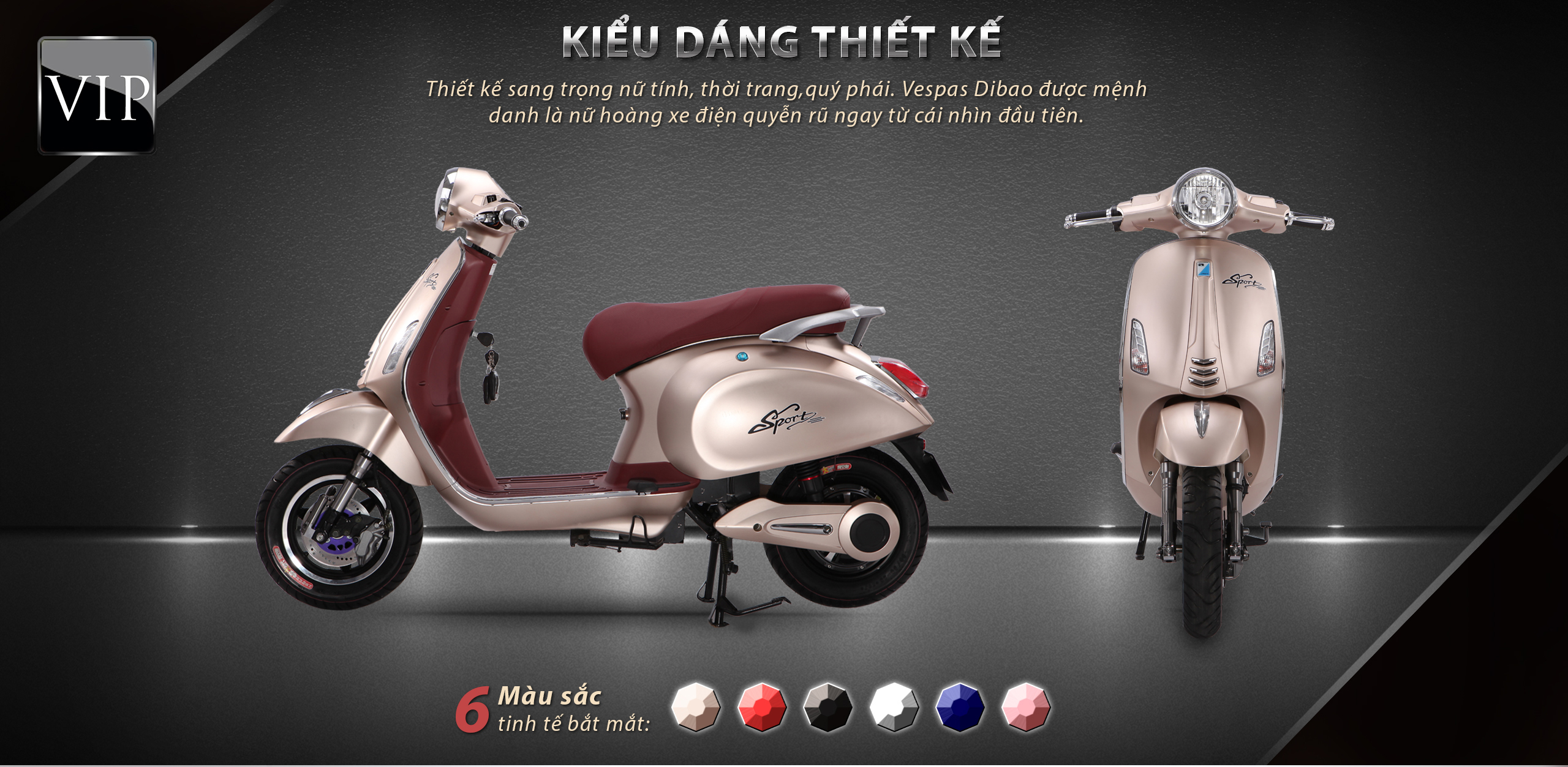 xe-dien-vespa-dibao-2.jpg