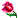 yahoo_flower.gif