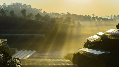 mua-may-da-lat-thu-hut-cac-tay-san-anh-ivivu-3.jpg