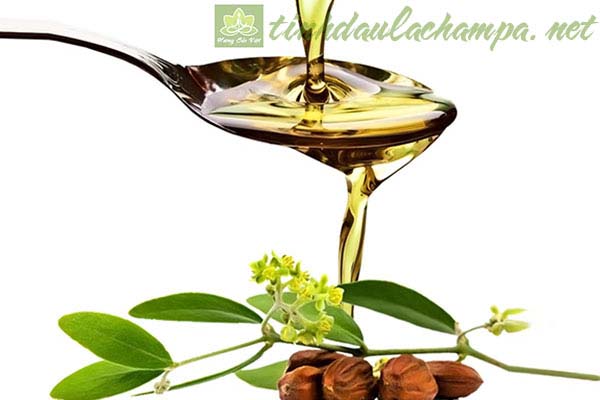 nhung-cong-dung-lam-dep-cua-dau-jojoba-1.jpg