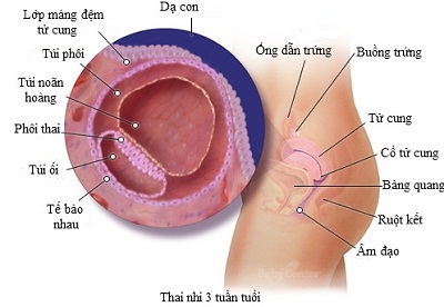 noi-mac-tu-cung-3.jpg