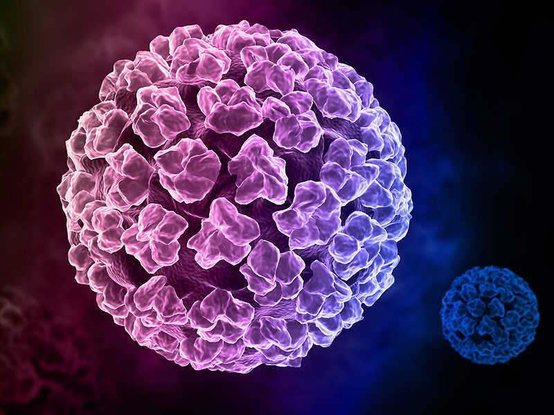 HPV-sui-mao-ga.jpg