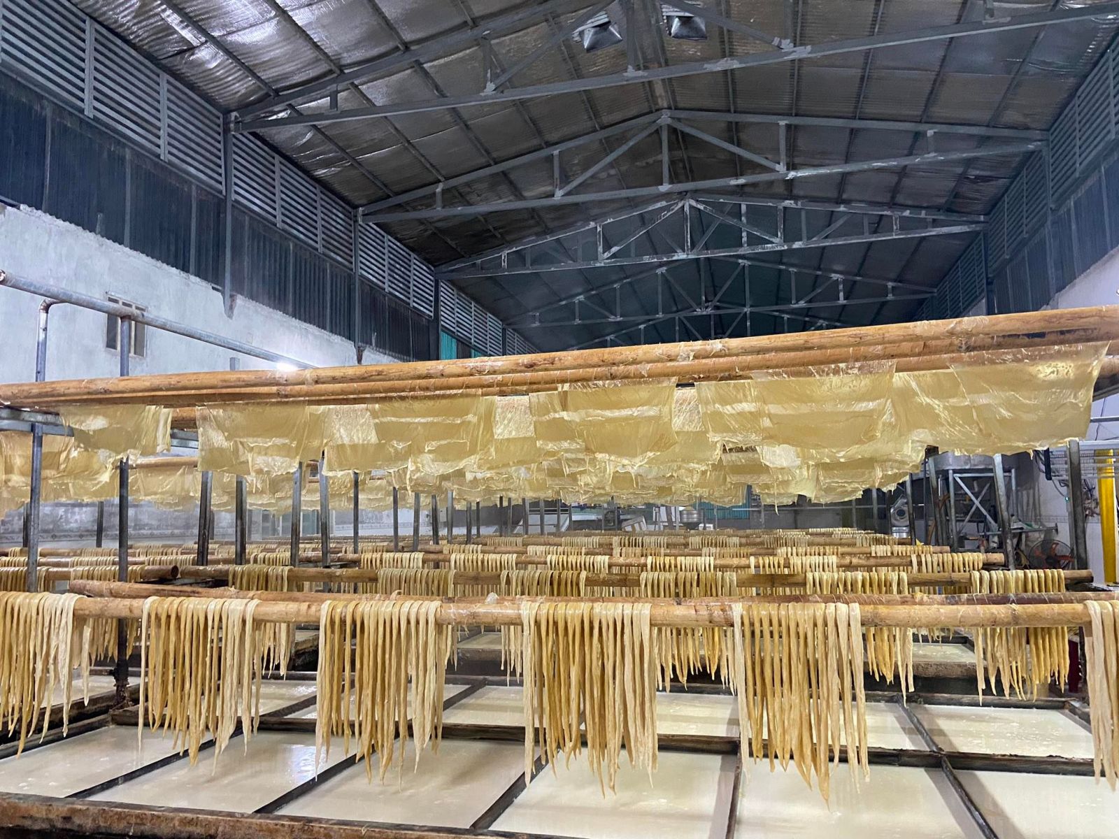mi-vang-dau-la-gi-tot-khong.jpg