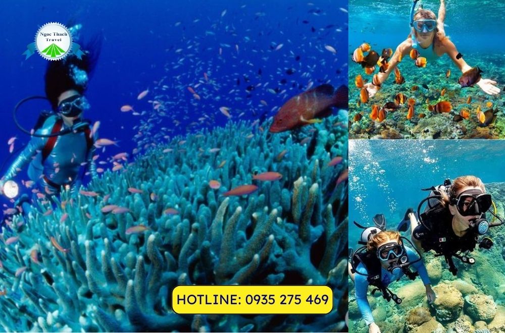 lan ngam san ho cu lao cham 3 4 lan ngam san ho cu lao cham 3