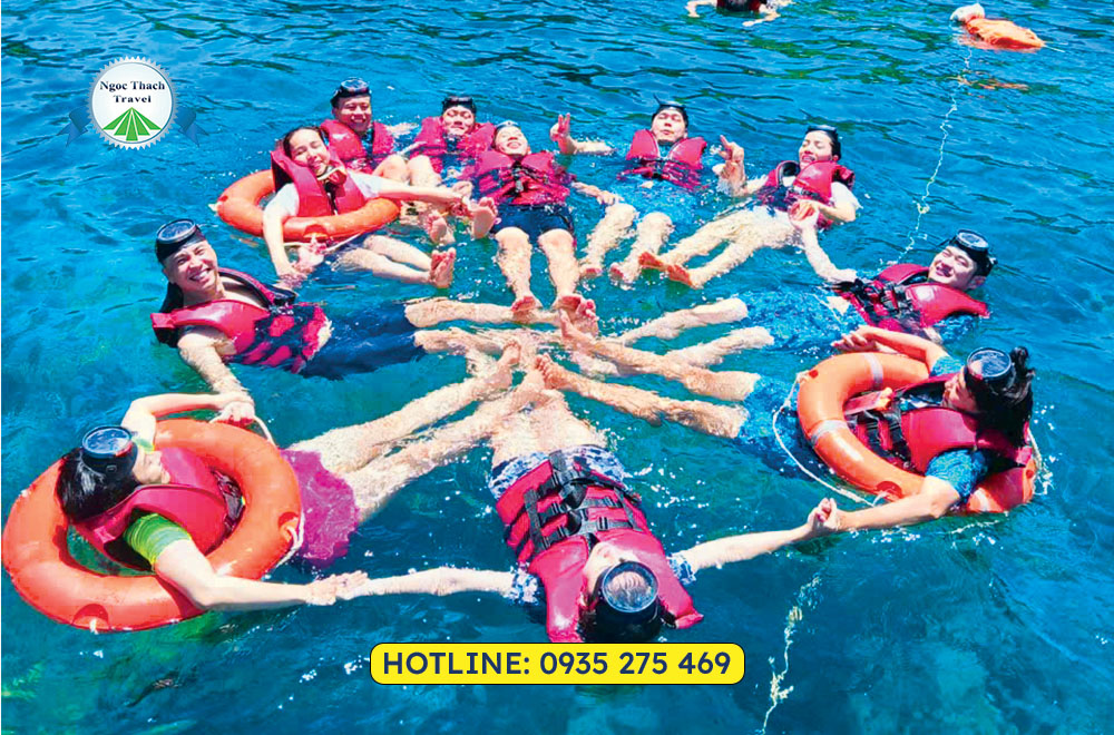 San hô Sơn Trà đa dạng màu sắc, thu hút du khách yêu biển