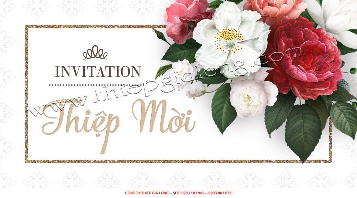 thiệp mời sinh nhật