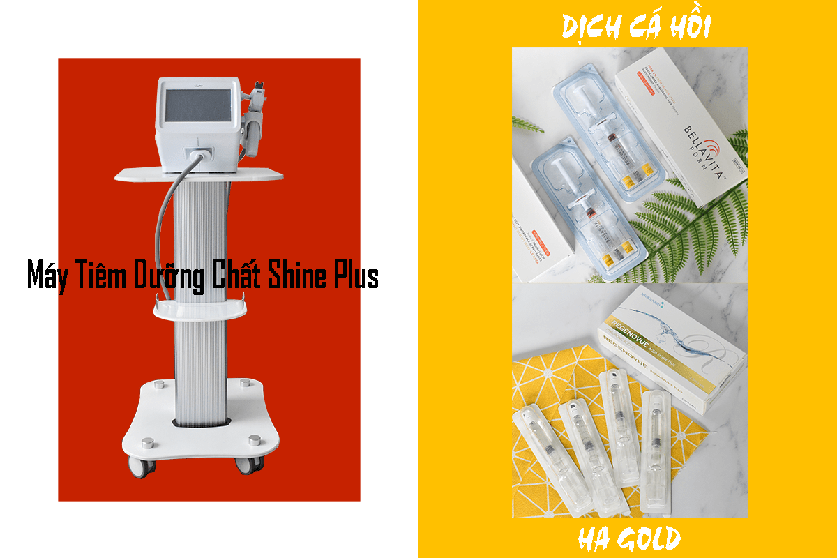 may-tiem-duong-chat.png