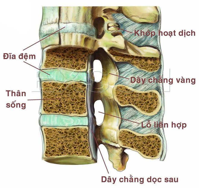 dau-lung-do-thoat-vi-dia-dem.jpg