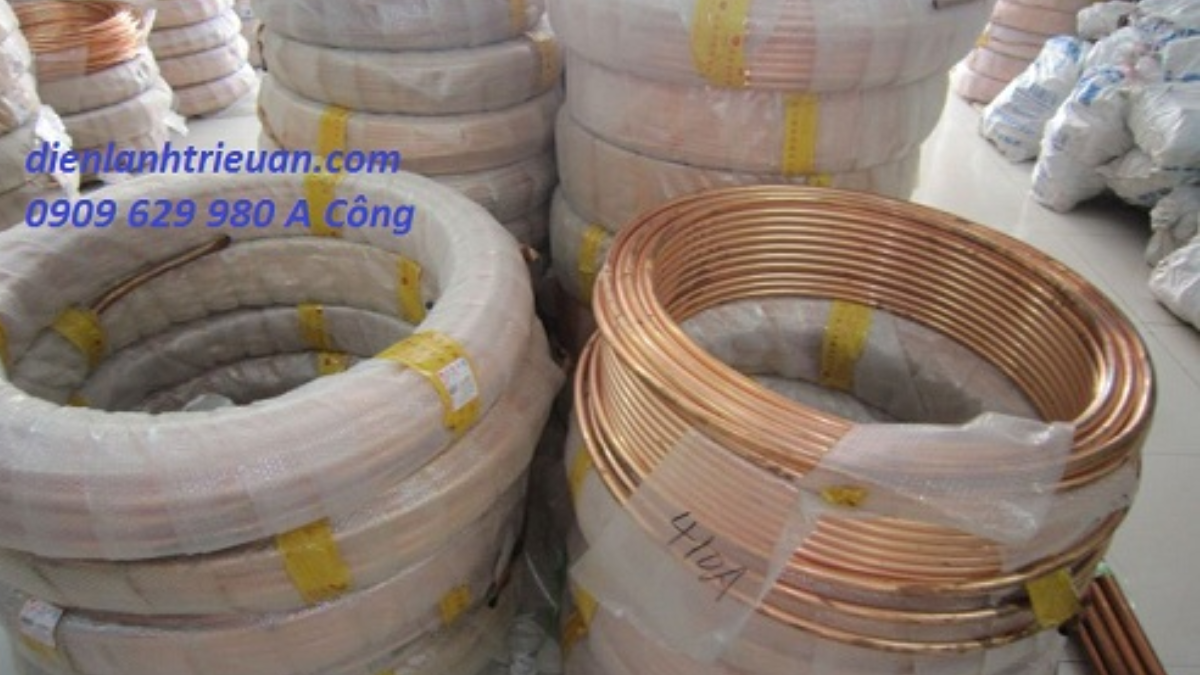 ong-dong(1).png