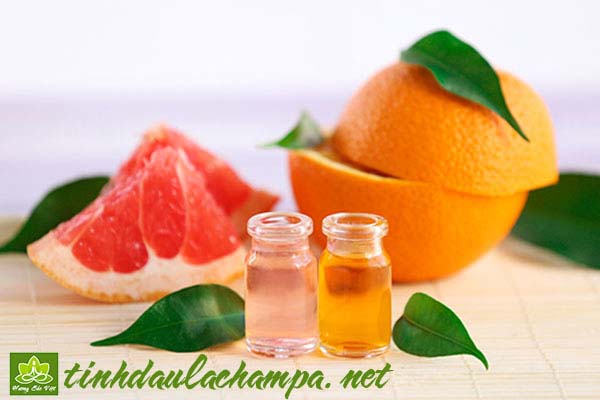 cac-cong-dung-cua-tinh-dau-buoi-hong-grapefruit-2.jpg
