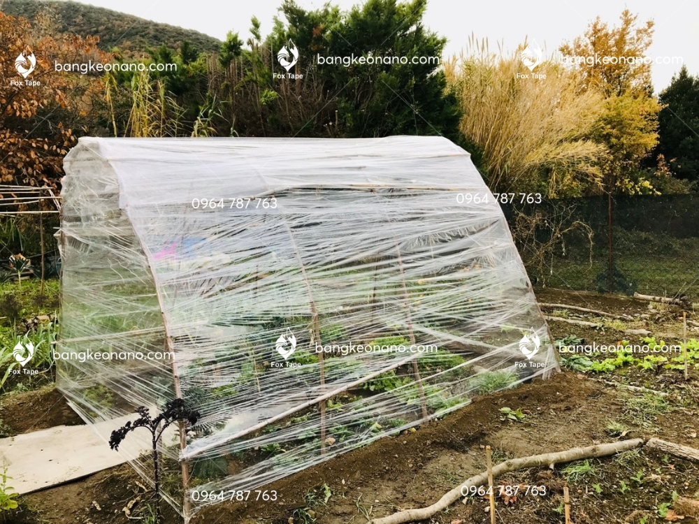 Màng PE- Băng Keo Huỳnh Gia-Băng Keo Nano- Quận Bình Tân- Huỳnh Gia Tape