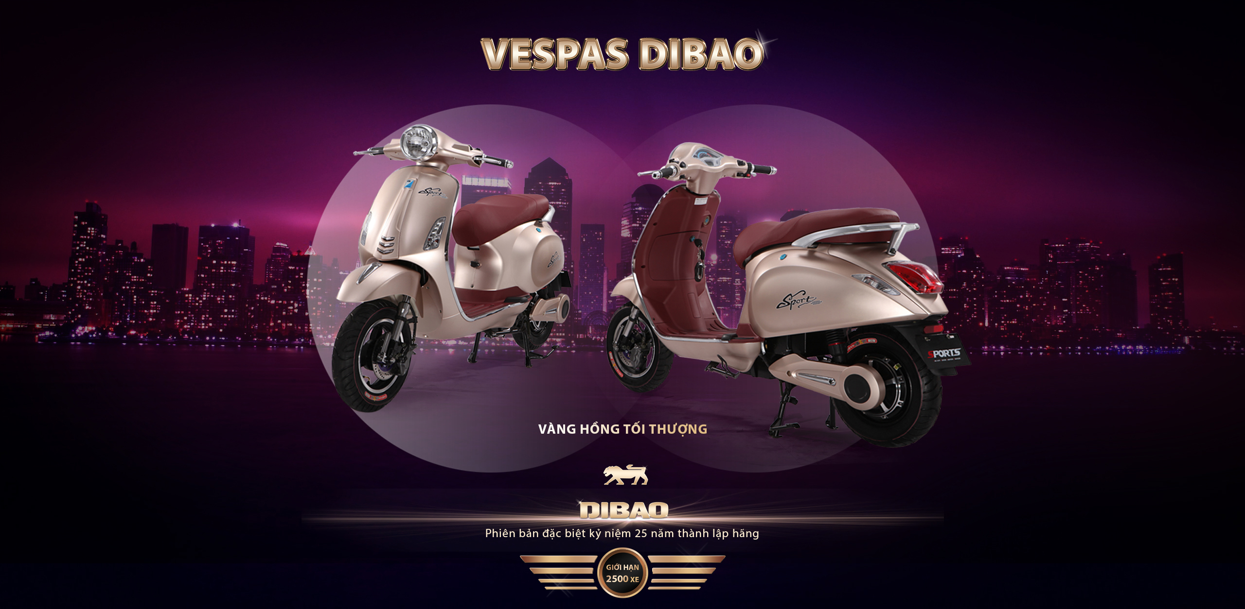 xe-dien-vespa-dibao-1.jpg