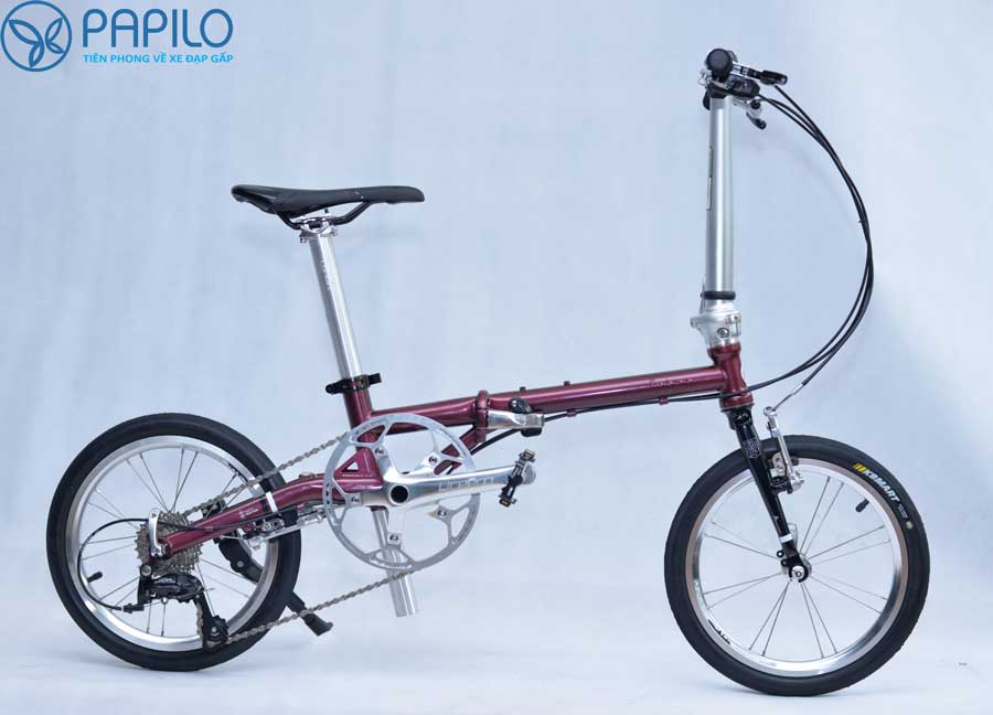 xe-dap-gap-fnhon-gust-19.jpg