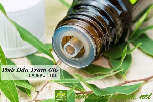 NE0225_phong-ngua-cam-cum-voi-tinh-dau-tram-gio.jpg