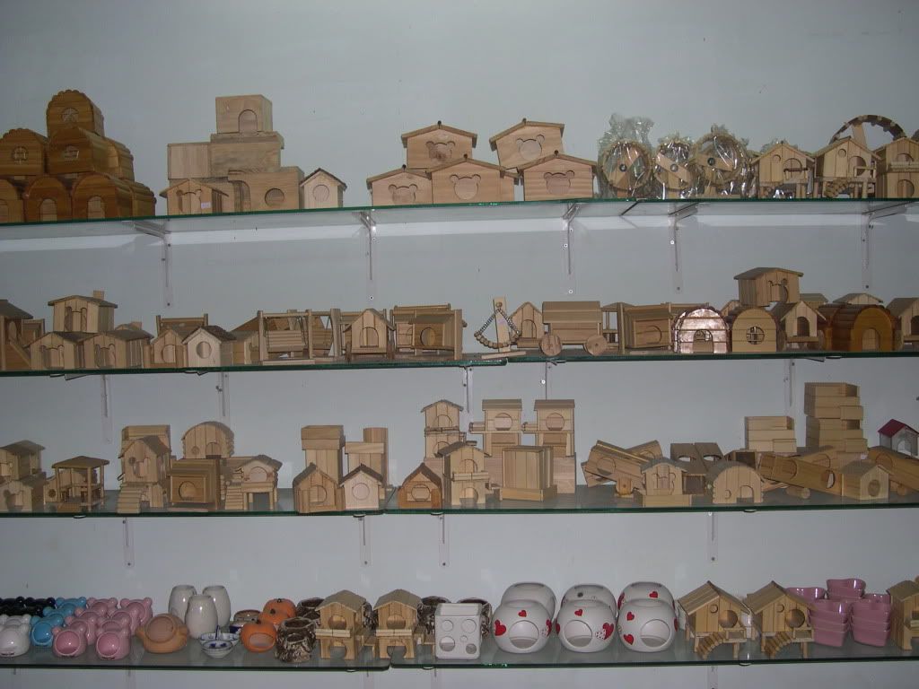 DSCN5597.jpg