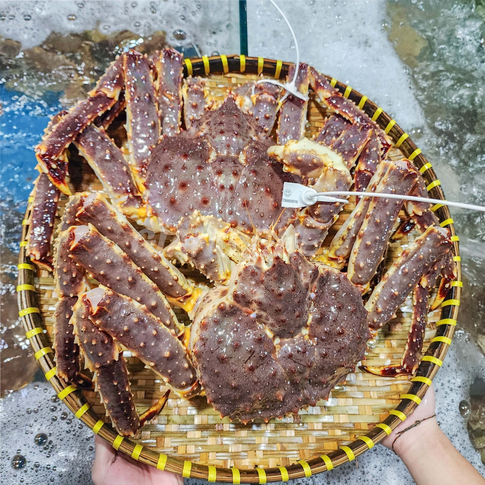 HẢI SẢN GIANG GHẸ