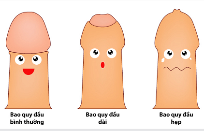 bao-quy-dau.png