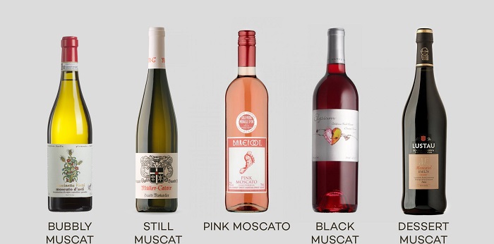 Moscato-Wine-Styles-Primary-WineFolly.jpg