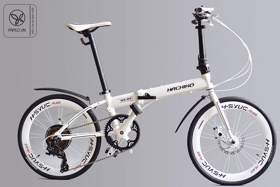 xe-dap-gap-hachiko-ha-04.jpg