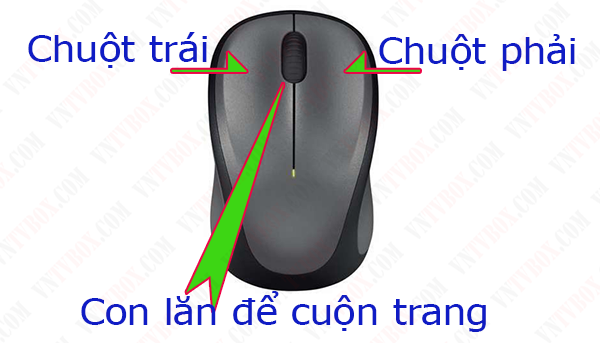 chuot1dadung.png