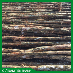 cu-trm-4m.png