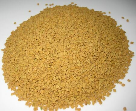 hat%20methi%20nhom%201-450w.jpg
