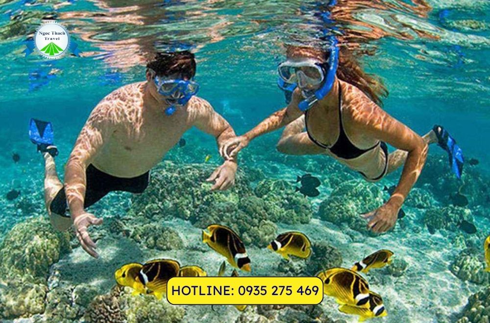 lan ngam san ho cu lao cham 2 5 lan ngam san ho cu lao cham 2