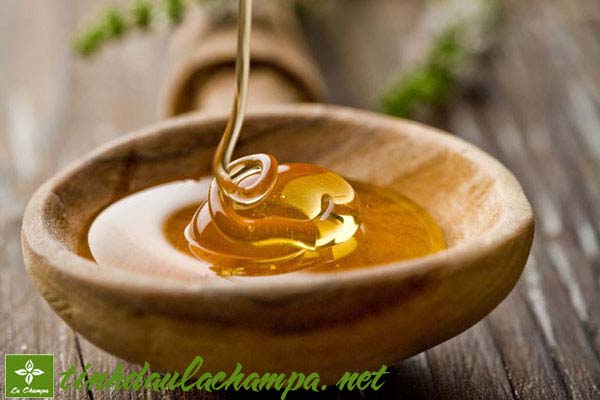 NE0742_mot-so-loai-tinh-dau-duong-da-chong-nang.jpg