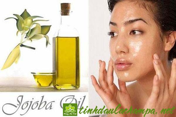 nhung-cong-dung-lam-dep-cua-dau-jojoba-2.jpg