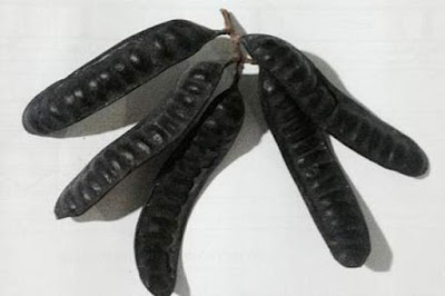 bo-ket-va-cong-dung.jpg