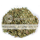 herberex_epimediumbrevicornumleafjpg_140.png
