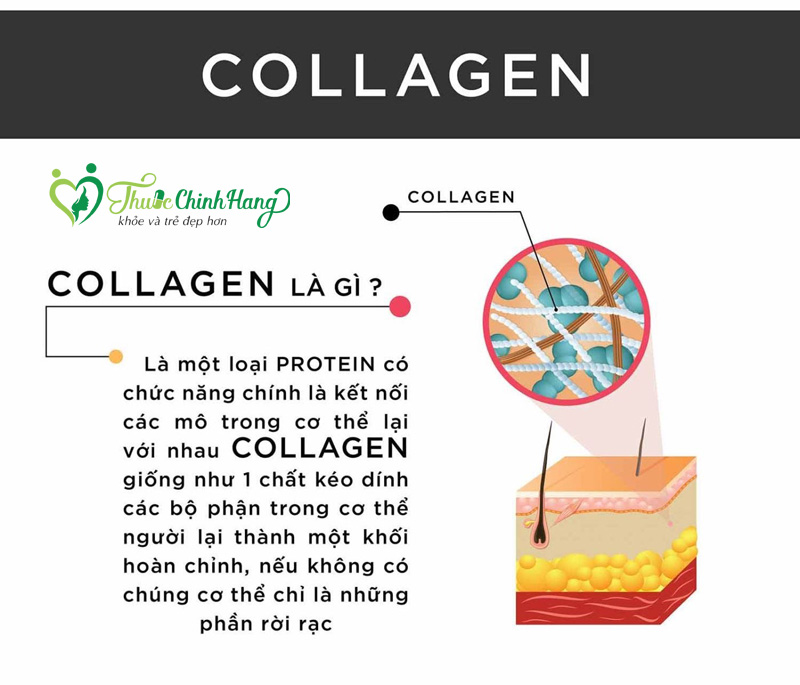 nen uong collagen trong bao lau