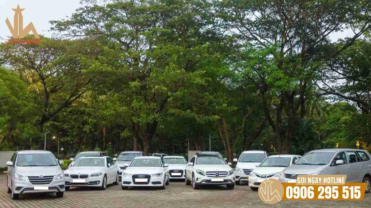Rất nhiều dòng xe mới đẹp được đầu tư để phục vụ Rất nhiều dòng xe mới đẹp được đầu tư để phục vụ