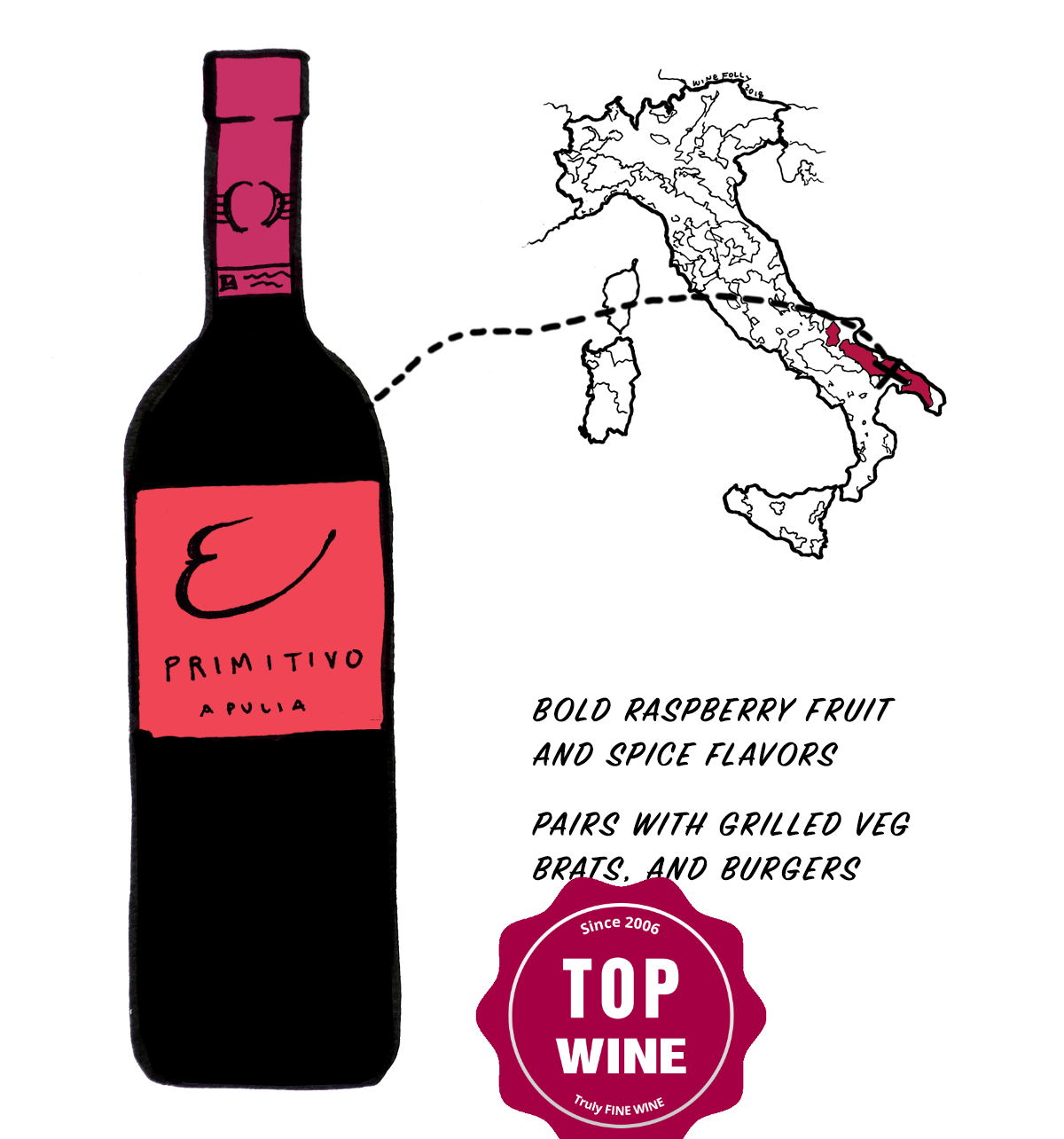 primitivo-grape-wine-illustration-winefolly_1.png